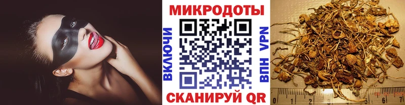 Купить где  Северо-Курильск  Галлюциногенные грибы Psilocybe 